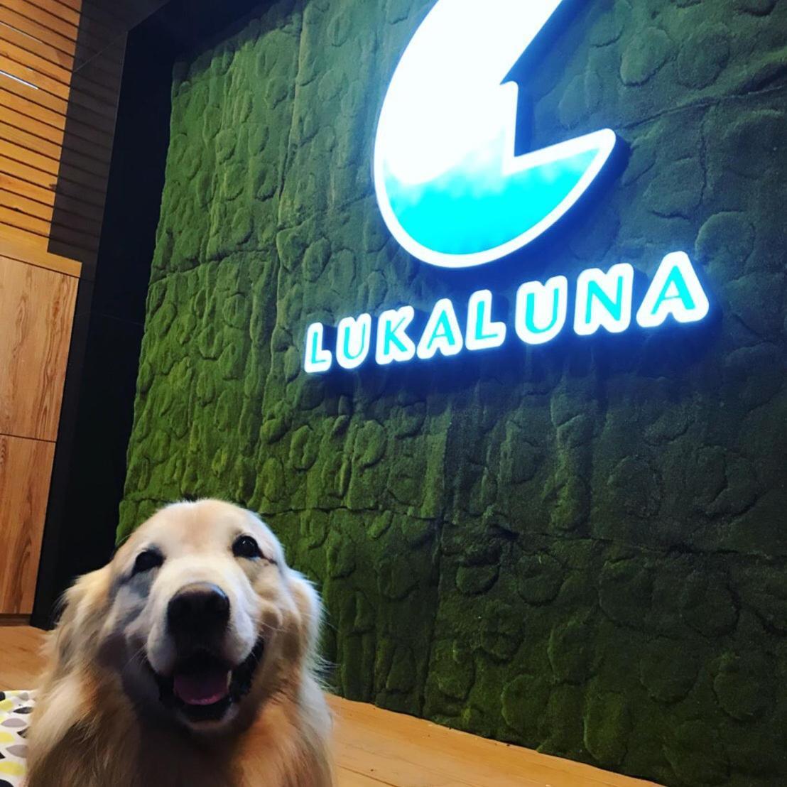 Luka Luna B&B T'ai-tung Dış mekan fotoğraf